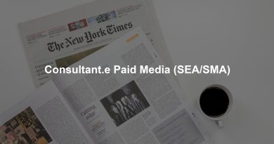 Consultant.e Paid Media (SEA/SMA)