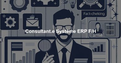 Consultant.e Système ERP F/H