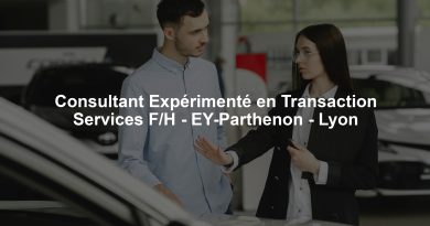 Consultant Expérimenté en Transaction Services F/H - EY-Parthenon - Lyon