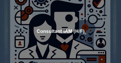 Consultant IAM (H/F)