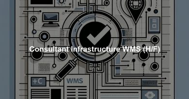 Consultant Infrastructure WMS (H/F)