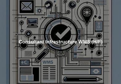Consultant Infrastructure WMS (H/F)