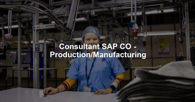 Consultant SAP CO - Production/Manufacturing