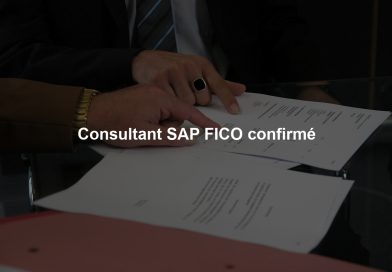 Consultant SAP FICO confirmé Consultant SAP FICO confirmé
