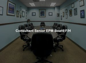 Consultant Senior EPM Board F/H