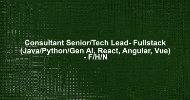 Consultant Senior/Tech Lead- Fullstack (Java/Python/Gen AI, React, Angular, Vue) - F/H/N