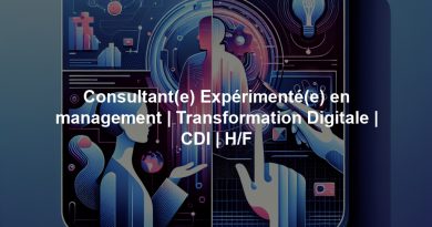 Consultant(e) Expérimenté(e) en management | Transformation Digitale | CDI | H/F
