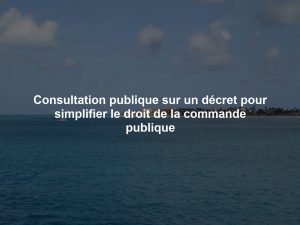 Consultation publique sur un décret pour simplifier le droit de la commande publique
