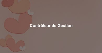 Contrôleur de Gestion