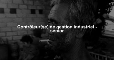 Contrôleur(se) de gestion industriel - senior