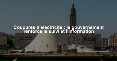 Coupures d'électricité : le gouvernement renforce le suivi et l'information