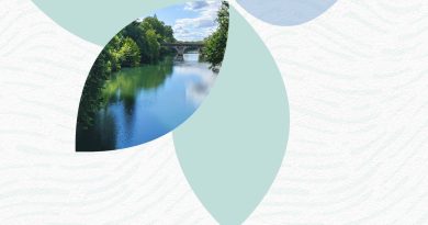 Couverture du document les Acteurs de l