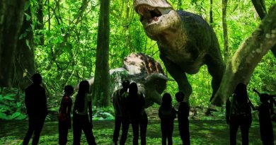 PLANETE&nbsp;PREHISTORIQUE&nbsp;: DINOSAURES, l