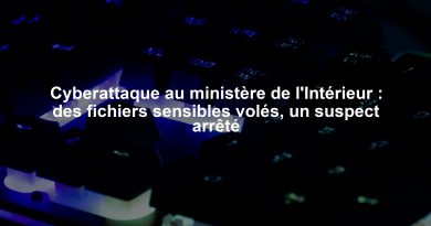 Cyberattaque au ministère de l'Intérieur : des fichiers sensibles volés, un suspect arrêté