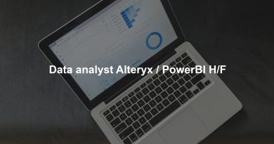 Data analyst Alteryx / PowerBI H/F
