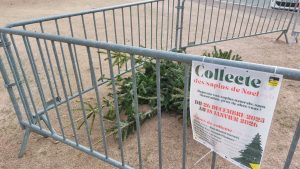 Sapin de Noël : pour éviter amende ou facture «salée» voici les points et dates de collecte à Gournay-en-Bray