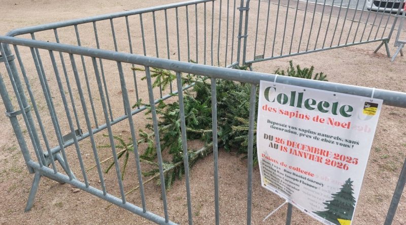 Sapin de Noël : pour éviter amende ou facture «salée» voici les points et dates de collecte à Gournay-en-Bray