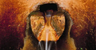 Champagne de Corse : l'eau d'Orezza, une source naturelle à découvrir