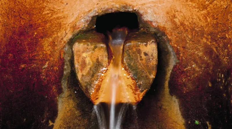 Champagne de Corse : l'eau d'Orezza, une source naturelle à découvrir