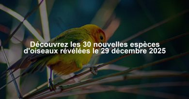 Découvrez les 30 nouvelles espèces d'oiseaux révélées le 29 décembre 2025