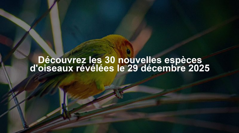 Découvrez les 30 nouvelles espèces d'oiseaux révélées le 29 décembre 2025