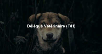 Délégué Vétérinaire (F/H)