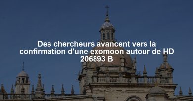 Des chercheurs avancent vers la confirmation d'une exomoon autour de HD 206893 B