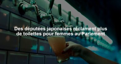 Des députées japonaises réclament plus de toilettes pour femmes au Parlement Des députées japonaises réclament plus de toilettes pour femmes au Parlement