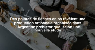 Des pointes de flèches en os révèlent une production artisanale organisée dans l’Argentine préhistorique, selon une nouvelle étude