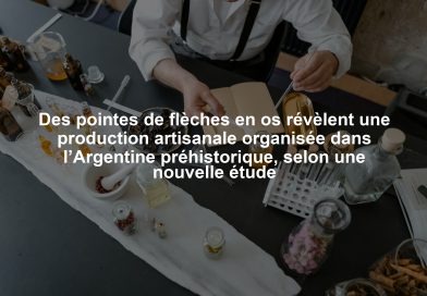 Des pointes de flèches en os révèlent une production artisanale organisée dans l’Argentine préhistorique, selon une nouvelle étude Des pointes de flèches en os révèlent une production artisanale organisée dans l’Argentine préhistorique, selon une nouvelle étude