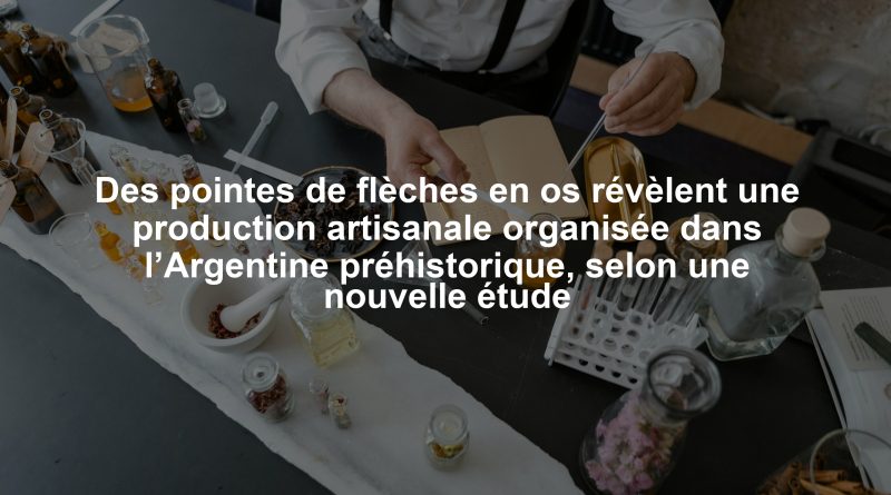 Des pointes de flèches en os révèlent une production artisanale organisée dans l’Argentine préhistorique, selon une nouvelle étude