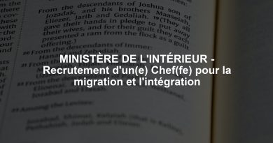 MINISTÈRE DE L'INTÉRIEUR - Recrutement d'un(e) Chef(fe) pour la migration et l'intégration