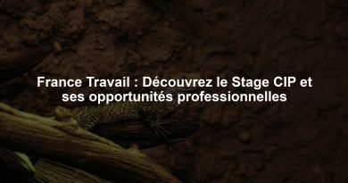France Travail : Découvrez le Stage CIP et ses opportunités professionnelles