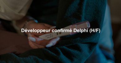 Développeur confirmé Delphi (H/F)