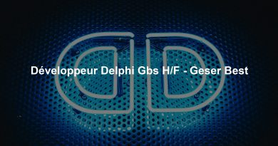 Développeur Delphi Gbs H/F - Geser Best