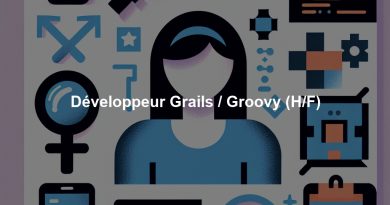 Développeur Grails / Groovy (H/F)
