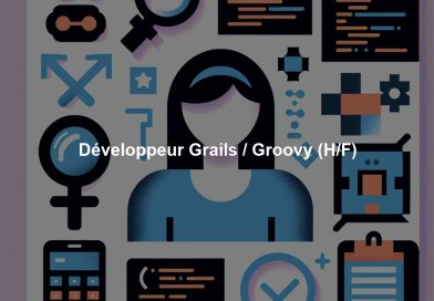 Développeur Grails / Groovy (H/F)