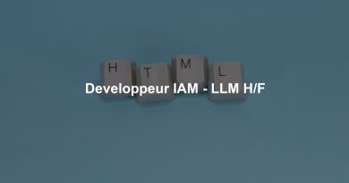 Developpeur IAM - LLM H/F