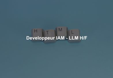 Developpeur IAM - LLM H/F