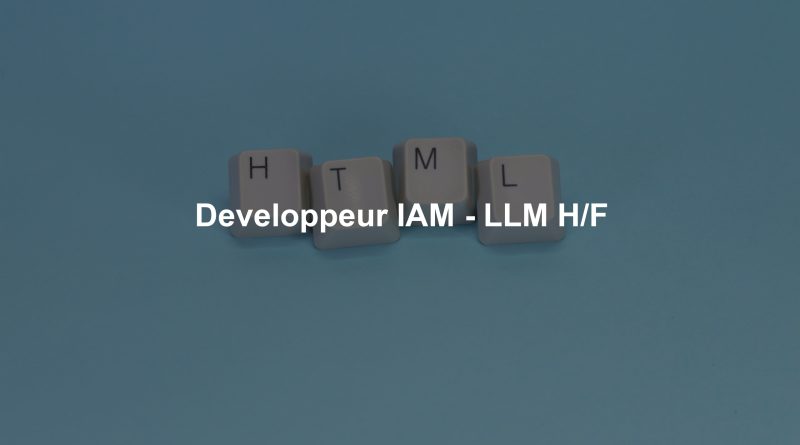 Developpeur IAM - LLM H/F