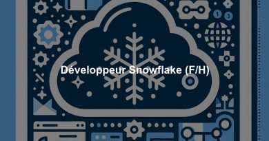 Développeur Snowflake (F/H)