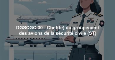 DGSCGC 30 - Chef(fe) du groupement des avions de la sécurité civile (ST)