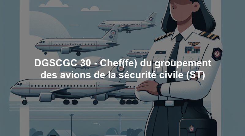 DGSCGC 30 - Chef(fe) du groupement des avions de la sécurité civile (ST)