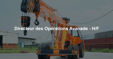 Directeur des Opérations Avanade - H/F