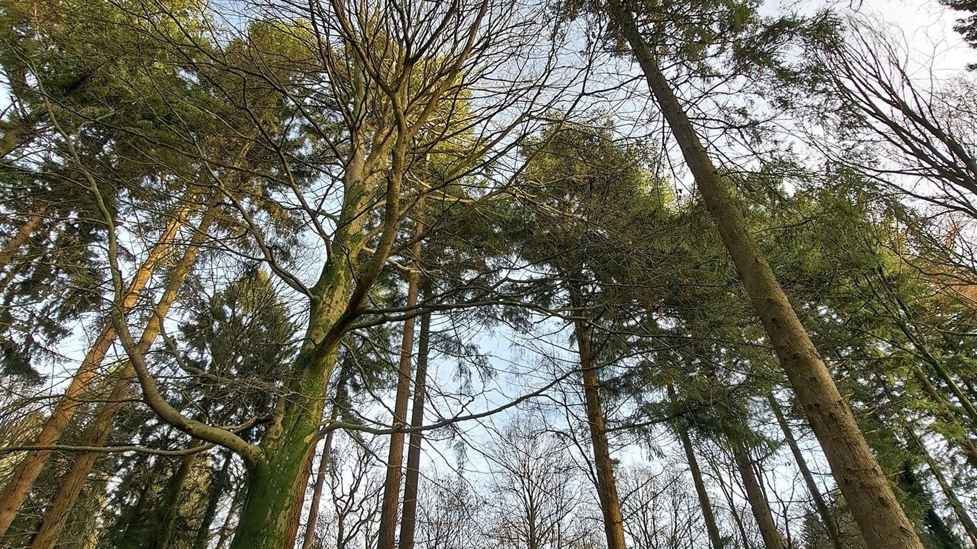 Météo en Belgique : ciel partagé ce mercredi selon RTBF Actus