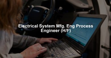 Electrical System Mfg. Eng Process Engineer (H/F)