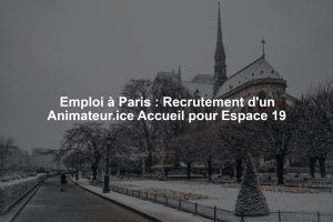 Emploi à Paris : Recrutement d'un Animateur.ice Accueil pour Espace 19