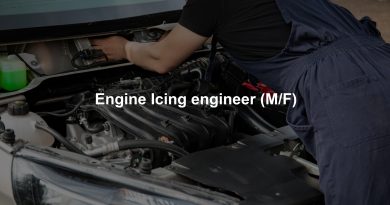 Engine Icing engineer (M/F)