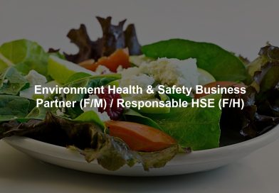 Environment Health & Safety Business Partner (F/M) / Responsable HSE (F/H)