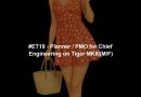 #ET19 - Planner / PMO for Chief Engineering on Tiger MKIII(M/F)